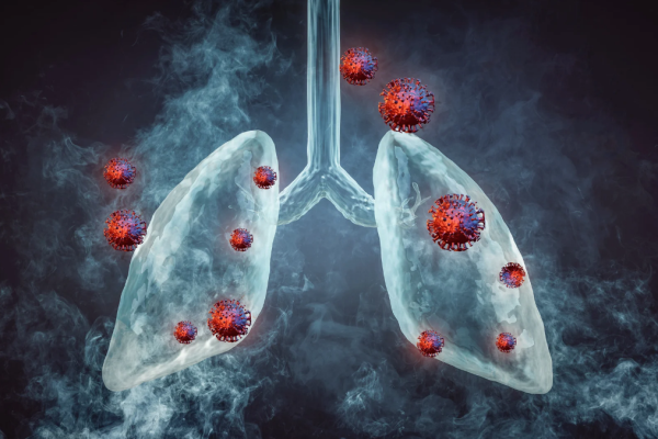 Korona symptomer: En komplett guide til tegn, forløp og når du bør reagere