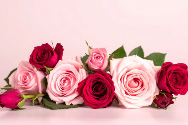 Rosen (erysipelas): Symptomer, behandling og hva du bør vite